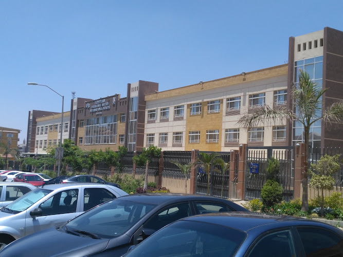 المدرسة المصرية البريطانية الدولية (EBIS)