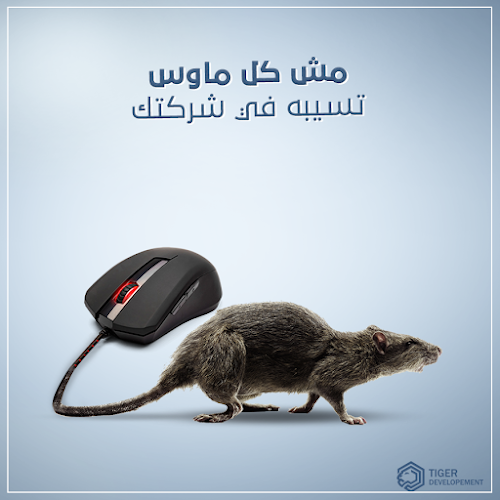 مجموعة تايجر