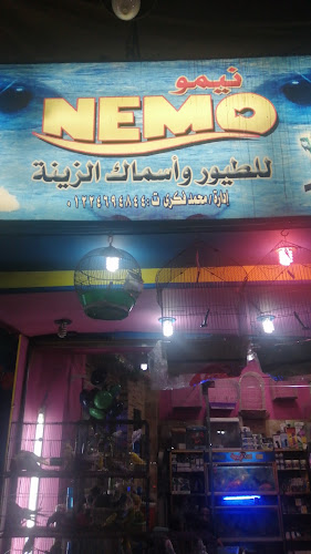 نيمو للطيور وأسماك الزينة
