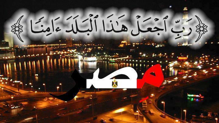 دكتور محاسب / محمد عبد الوهاب