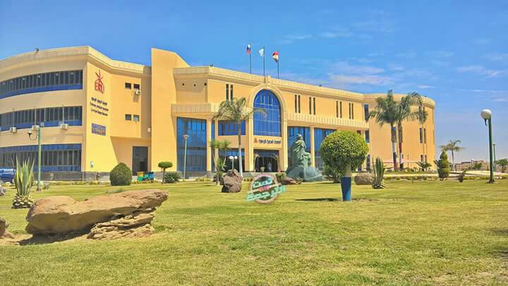 الجامعة المصرية الروسية