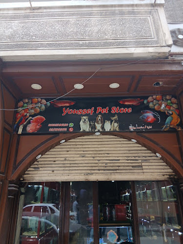 متجر روميو للأسماك