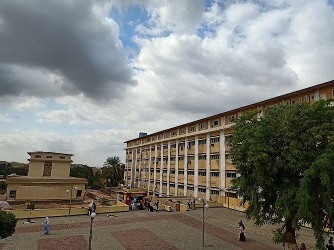 كلية الدراسات الإنسانية، جامعة الأزهر، فرع البنات، القاهرة