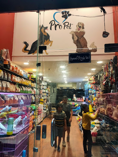 برو بيت ترت بيت