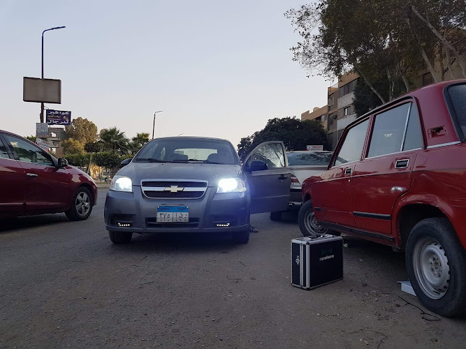 زينون ستور