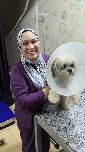 مركز مدينة الحيوانات الأليفة البيطري عيادة بيطريه للقطط و