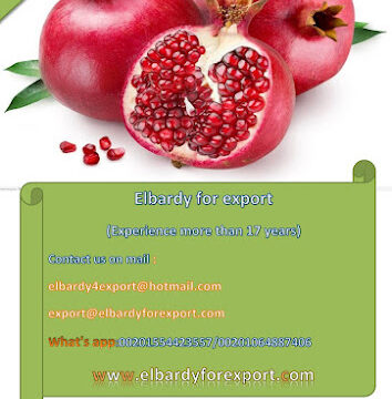 ANWiy9Q7MlPa5jxjQUKD6SfwP_dWXec1iJsxDOJ_LibR8bQWZOLAtt_5J46q5lDj6NEW44zQNb-3xVsHMB_8M3MtrVr_CkyxAXSSi4SCDx2lIKFsBiFULBE5PvdLJvT_b5QKng-NlX3bw800-h500-k-no.jpg