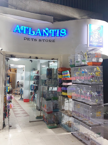 أطلانتس