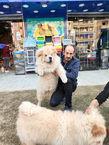 عيادة بيطرية ومتجر حيوانات أليفة Sham Pets