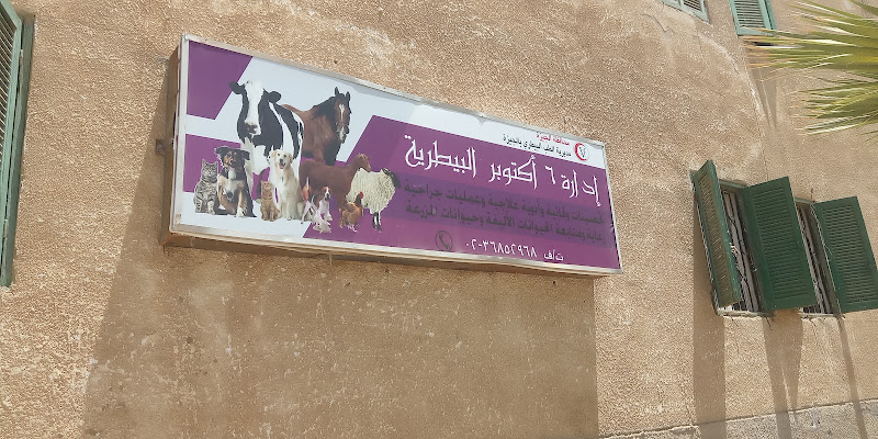 عيادة الحيوان عيادة البيطرية الحكومية