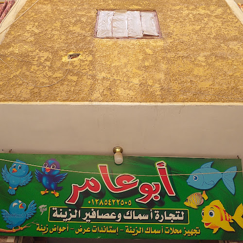 أبو عامر لتجارة بشارة وعصافير الزينة