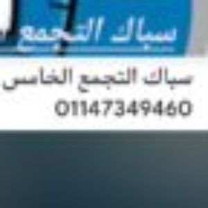 Profile photo of sayed