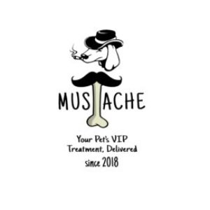 Profile photo of mr-begad-mustache